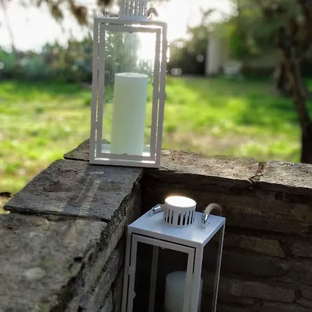 Casa Natura Amoliani