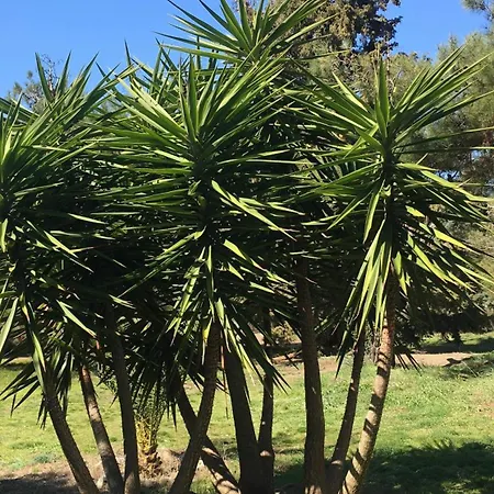 Dom wakacyjny Casa Natura *